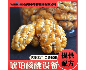 琥珀核桃仁加工設備 風味琥珀核桃仁加工流水線 華邦制造